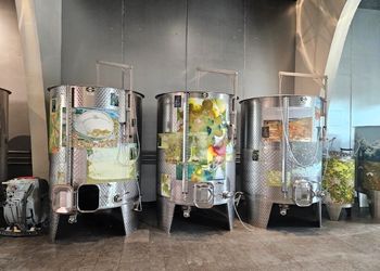 M1 Wine & Spirits International Management : immersion au cœur du vignoble bourguignon