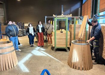 M1 Wine & Spirits International Management : immersion au cœur du vignoble bourguignon