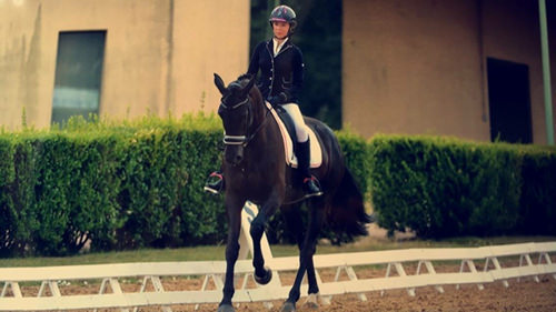 Aurore Dubus - Champion d'équitation